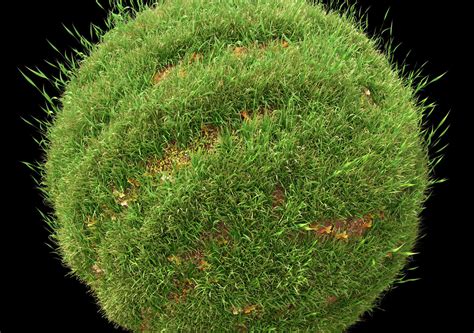 Wild Grass Corona Scatter And 3ds Max Cgtrader