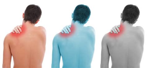 Shoulder Pain And The Spine Hobsons Bay Osteopathy