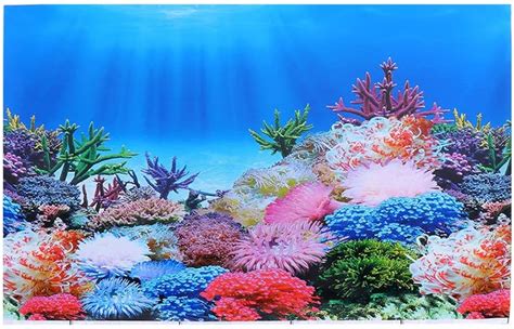 Top 97 Imagen Background Poster For Fish Tank Vn