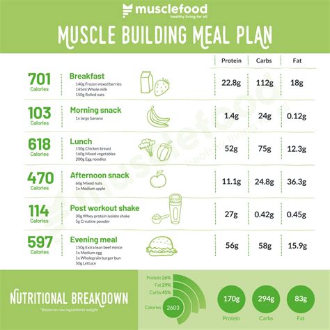 The Ultimate Muscle Building Meal Plan 💪 Musclefood Muscle Building