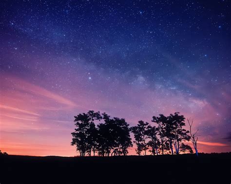 Wallpaper Purple Night Sky Stars Trees Silhouettes