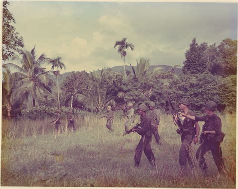 Soldiers Patrol Through The Grass And Jungle Troops Were Often Isolated In The Bush Relying