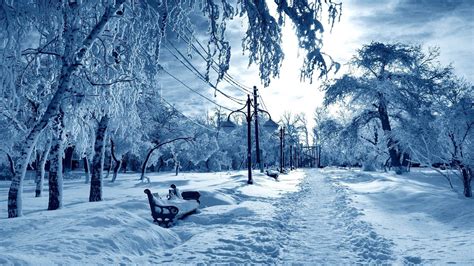 Snowy Scenes Wallpapers 58 Background Pictures