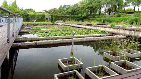 Seonyu Island Park Aquatic Botanical Garden Seoul