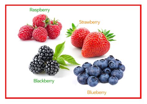 Grow Your Berries In Containers