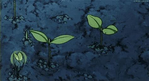 Siren Studio Ghibli Background Yuki Sohma Plant Tattoo Mobile Legend