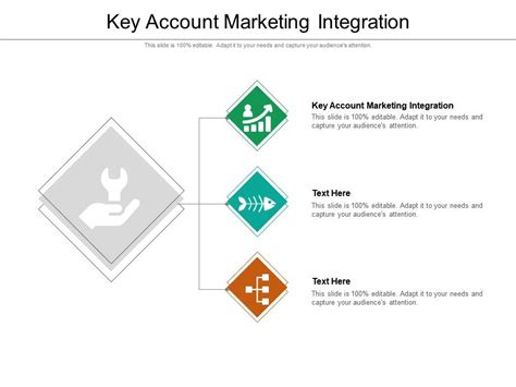 Key Account Marketing Integration Ppt Powerpoint Presentation Portfolio