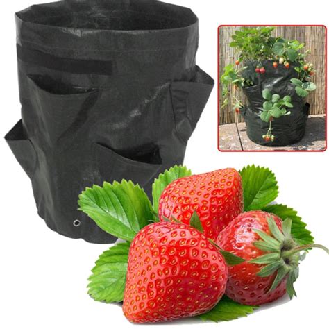 Strawberry Planter Bags 45541cm Vegetable Creative Planting Bag