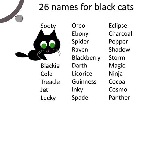 When it comes to naming black cats, we all know their striking dark coat is the perfect source of inspiration. Cat care tips black cat names for your your black cat ...