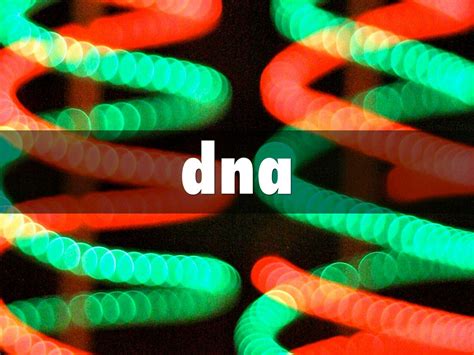 Dna By 917861