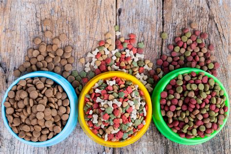 Grain Free Dog Foods How Does Grain Affect Your Dogs Health