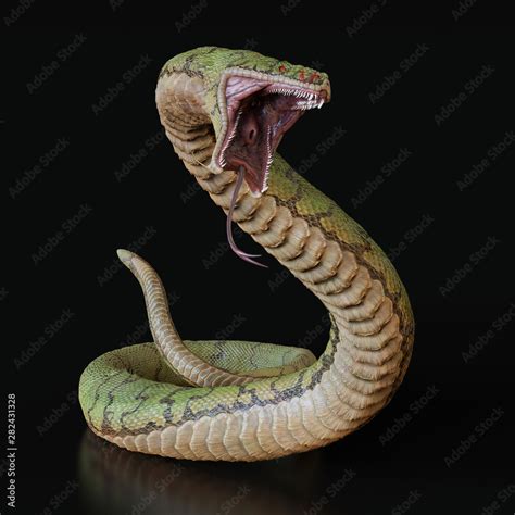 Snake With An Open Mouth3d Illustration Ilustração Do Stock Adobe Stock