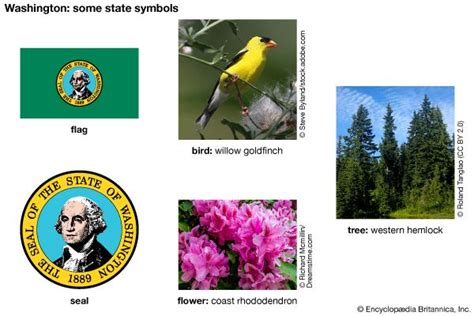 Washington State Symbols Kids Britannica Kids Homework Help