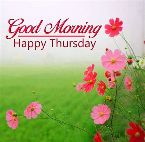 Good Morning Happy Thursday Images With During Flower And Sunrise Hd Download Good Morning