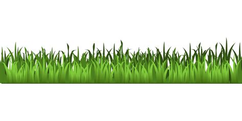 Agriculture Grass Field Png Transparent Image Png Mart