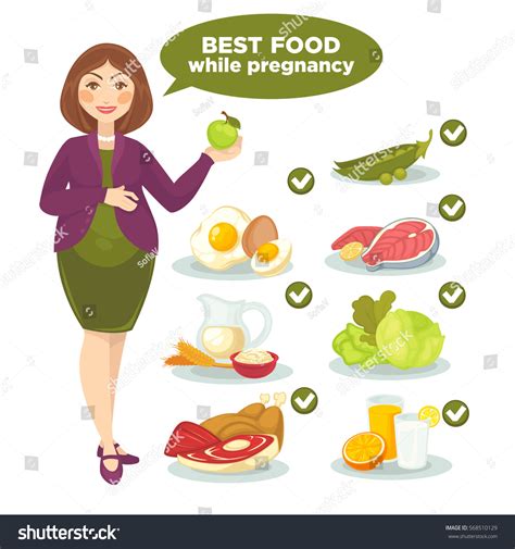 Vector Set Woman Health Food Pregnant Stock Vector Royalty Free 568510129 Shutterstock