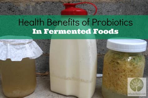 Health Benefits Of Probiotics In Fermented Foods Hannah Hepworth