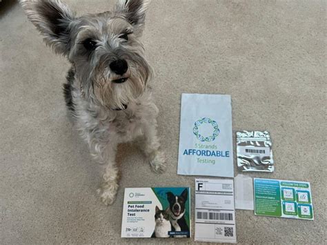 Best At Home Dog Allergy Test Kits Today — Reviews And Top Picks Canine