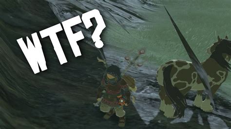 New Gamebreaking Glitch Technique In The Legend Of Zelda Breath Of The