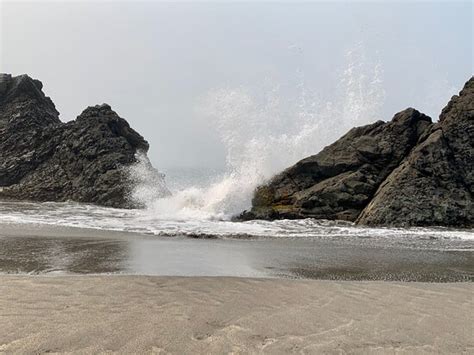 See 46 traveler reviews, 126 photos and 8 blog posts. Harris Beach State Park (Brookings) - 2020 All You Need to ...