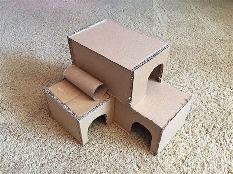 Pin By Vnnv Arangalag On Rodents Diy Hamster Toys Hamster Diy Cage