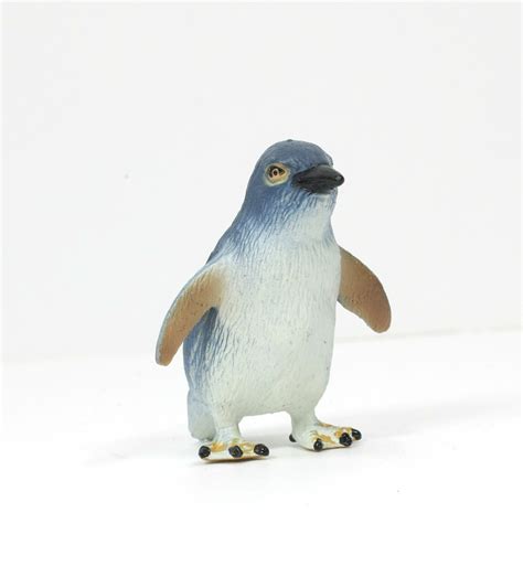 Little Blue Penguin Penguin Corner