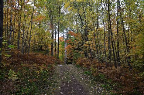 Fall Colors On This Trail In Copper Falls St Park Wisconsin State