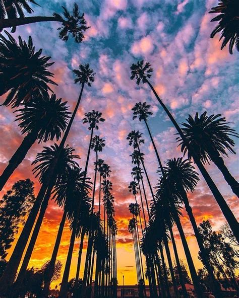 Beautiful Los Angeles California Photography Wallpaper Landscape