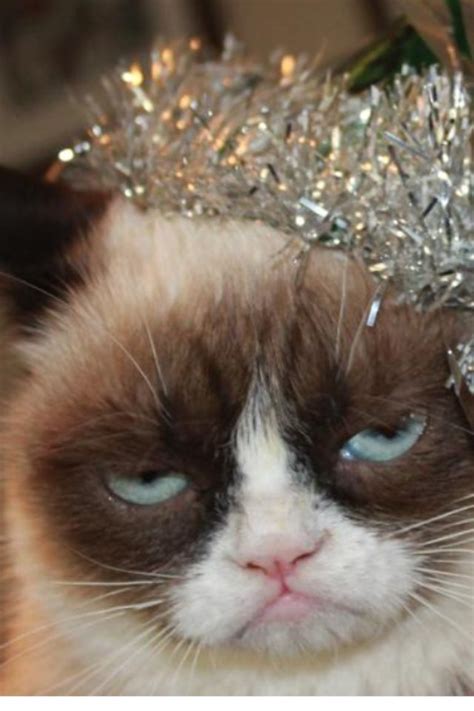 New Year Grumpy Cat Newsyearta