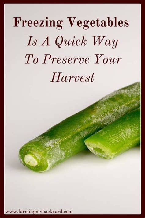 Have A Ton Of Garden Produce Freezing Vegetables Is Easy Effective