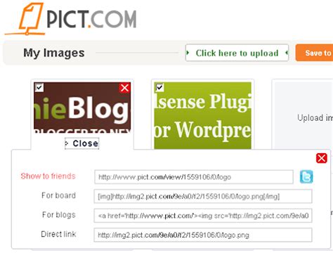 Top Free Image Hosting Photo Sharing Sites Geeky Stuffs