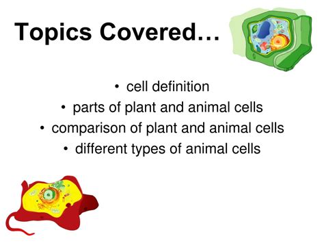 Ppt Plant And Animal Cells Powerpoint Presentation Free Download