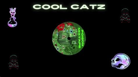 Cool Catz Youtube