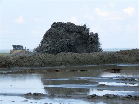 Heavy Equipment Dredge Rebuild Louisiana Barrier Island
