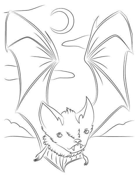 Common Vampire Bat Coloring Page Free Printable Coloring Pages For Kids