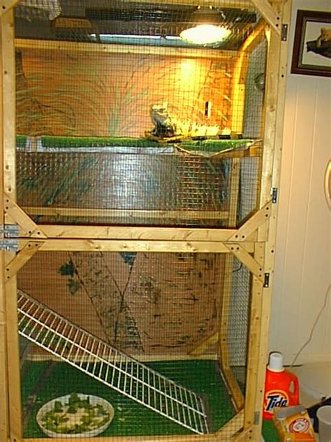 Iguana Cage Pictures