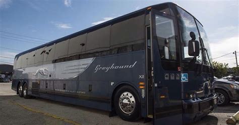 Greyhound usa has three operating subsidiaries in the united states: Greyhound - Book Official Greyhound Bus Tickets | Busbud