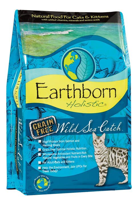 Dry cat food is a common choice for cat owners due to it being cheaper, easier to store, and slower to perish out in the open when compared to wet cat foods; Holistic GF Wild Sea Dry Cat Food | Eliot, ME | Maine Pet ...