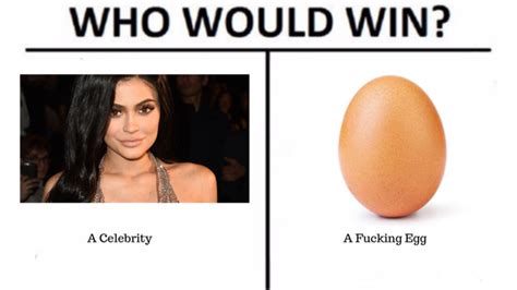 Who Would Win World Record Egg Know Your Meme