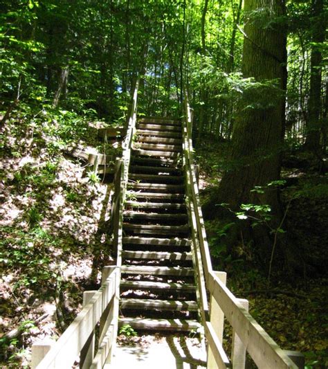 Indianas Wilderness Has A Lot Of Surprises From Beautiful Forests To