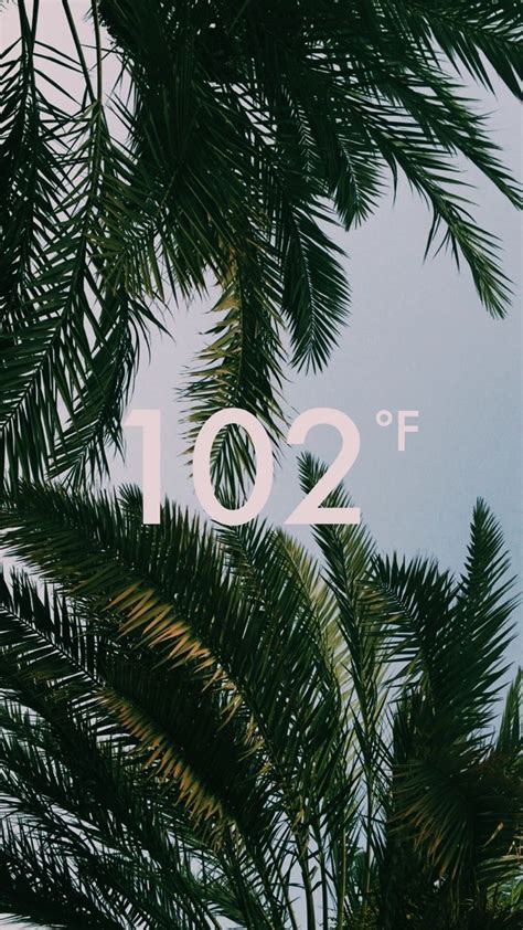 Gambar Wallpaper Tumblr Lucu Kampung Wallpaper