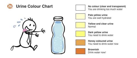 Urine Color Chart Whats Normal And When To See A Doctor Urinal Module