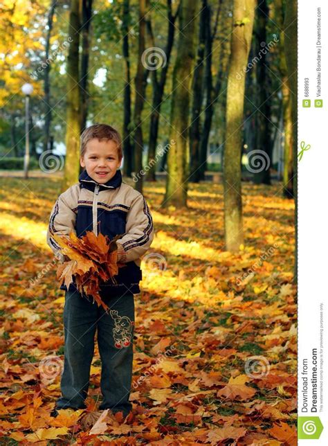 Child Throwing Autumn Leaves Stock Image Image Of Foliage Caucasian