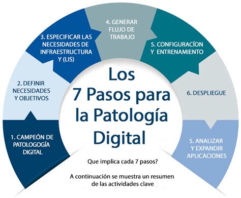 Los 7 Pasos Para La Patología Digital