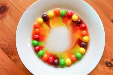 Super Cool Science Project With Skittles For Kids Of All Ages