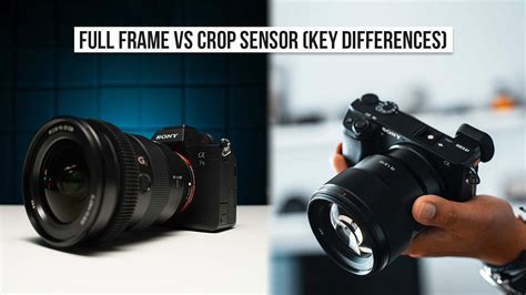 What Is Full Frame Vs Crop Sensor Sony Photo Review