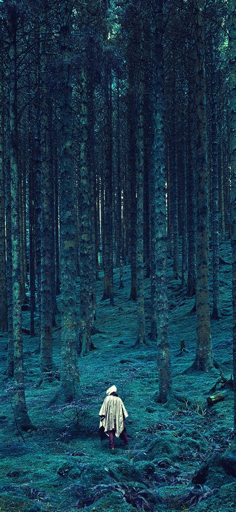 Wood Forest Blue Mountain Iphone X Wallpapers Free Download