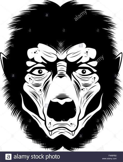 Werewolf Head Drawing At Explore Collection Of