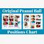 Original Peanut Ball Positions Chart  Premier Birth Tools