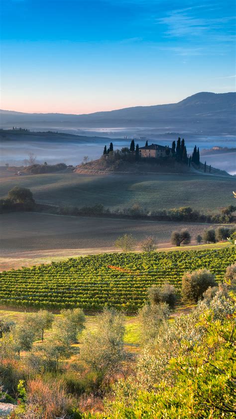 Lonely Tree Val Dorcia Tuscany Italy Windows 10 Spotlight Images
